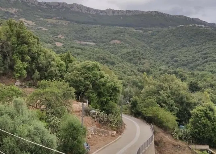 Nyaraló Sa Dommu 'e Su Coro